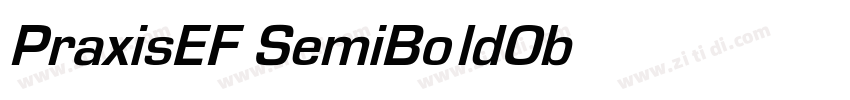 PraxisEF SemiBoldObl字体转换